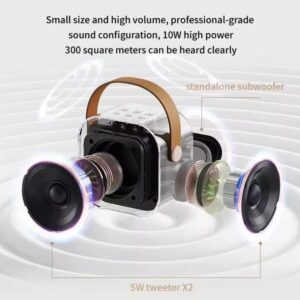Professional Compact Speaker System