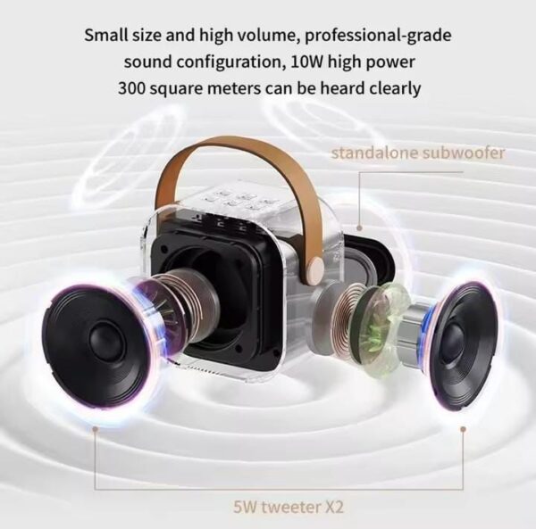 Professional Compact Speaker System